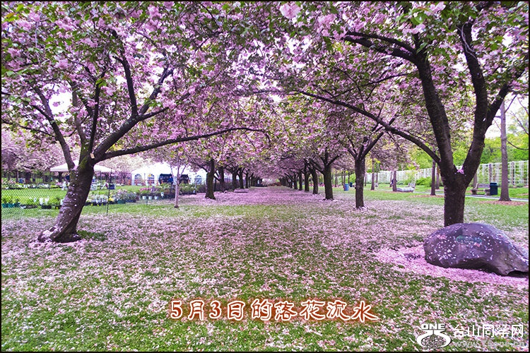 IMG_4971_meitu_1.jpg