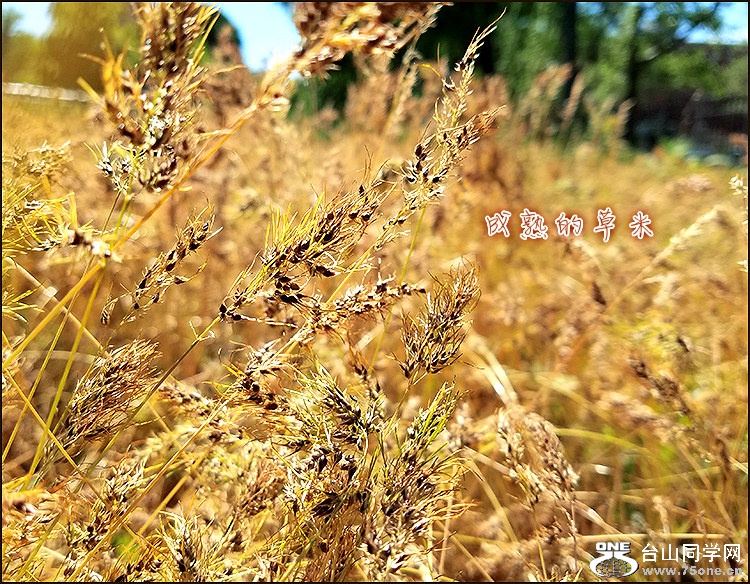 20160516_151914_meitu_1.jpg