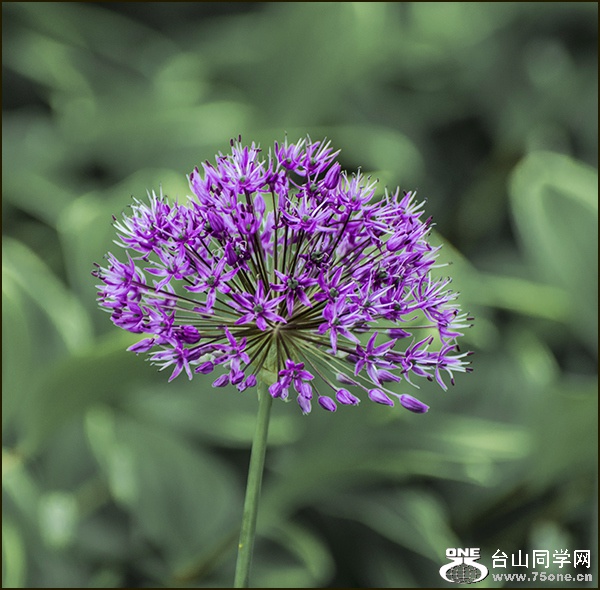 DSC_7461_meitu_4.jpg