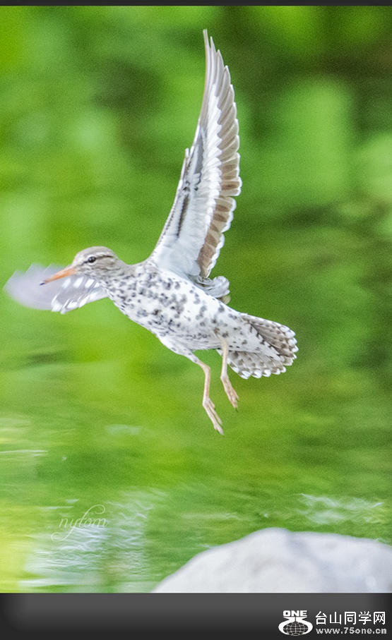 DSC_1929_.jpg
