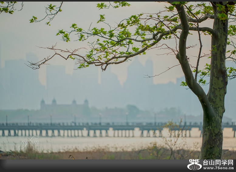 DSC_0420.._.jpg