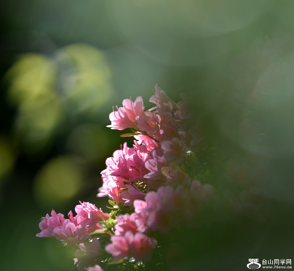 DSC_4070__.jpg