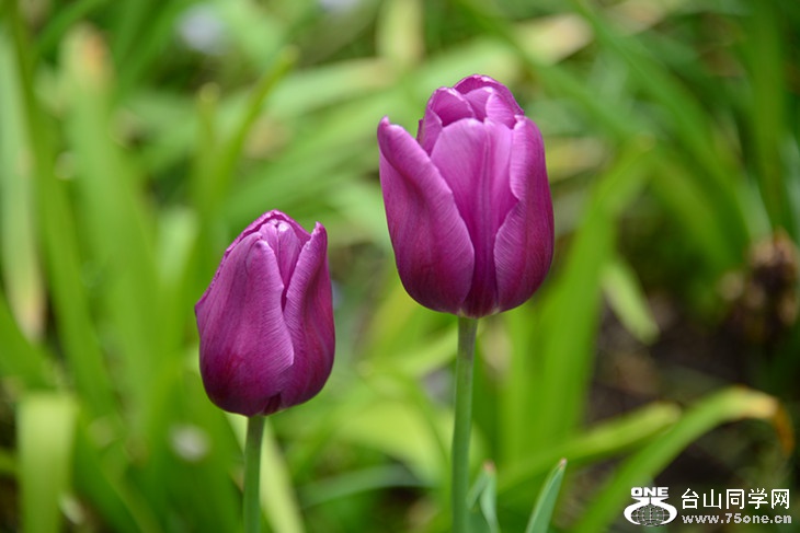 DSC_1504_.jpg