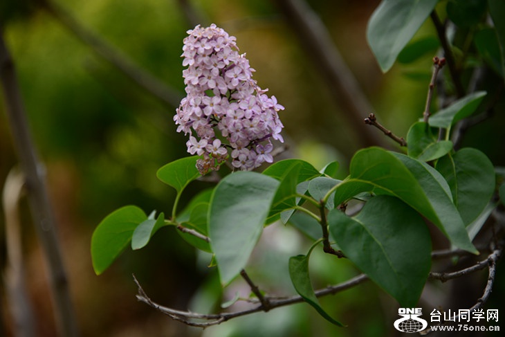 DSC_1501_.jpg