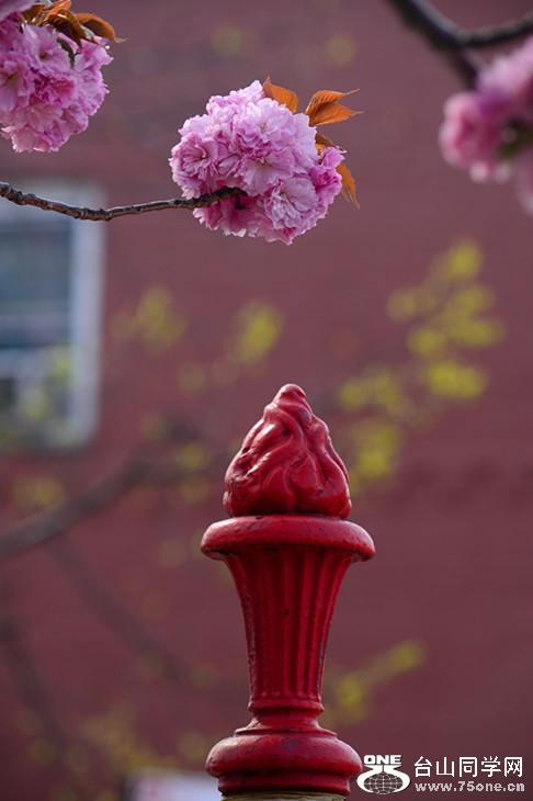 DSC_0876_.jpg