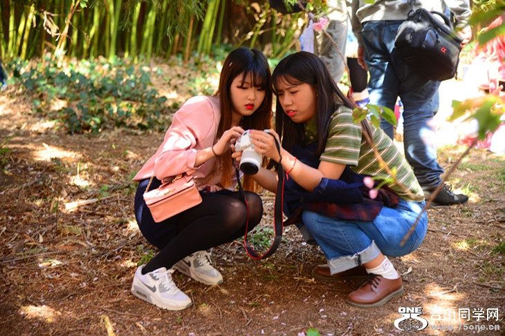 DSC_1385_.jpg