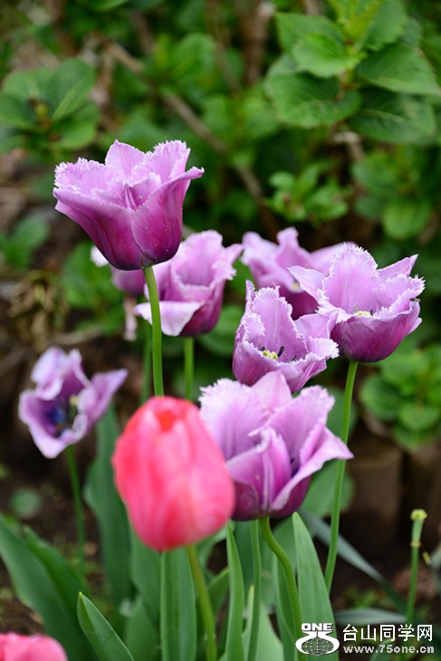 DSC_1468_.jpg