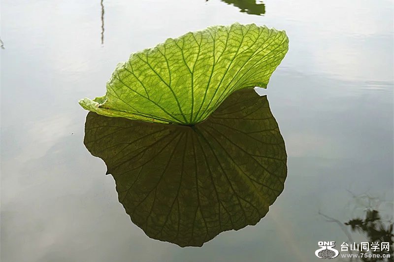 psb (20).jpg