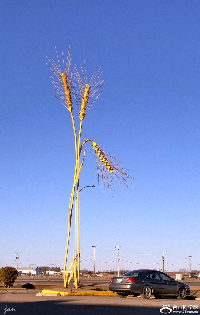20160402_074229_HDR.jpg