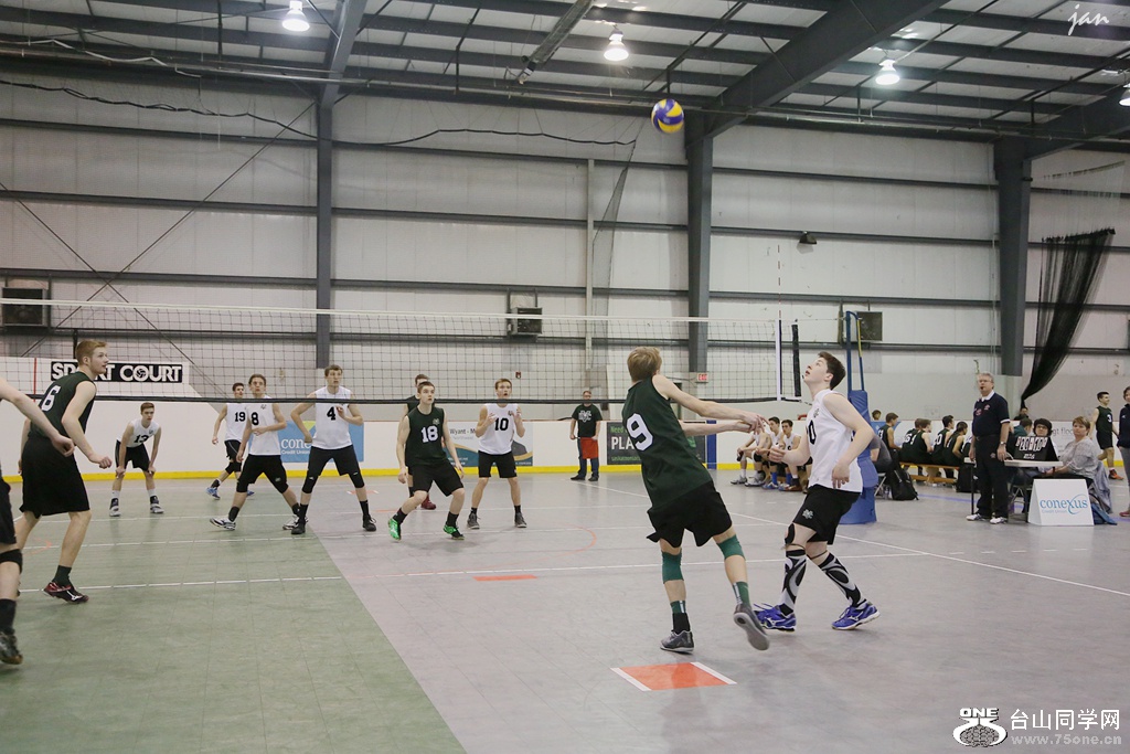 IMG_7891_.jpg