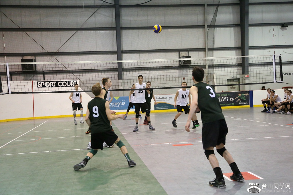 IMG_7870_.jpg