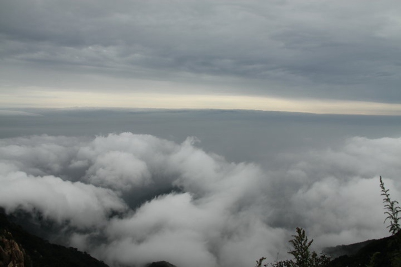 DSC_3143.jpg
