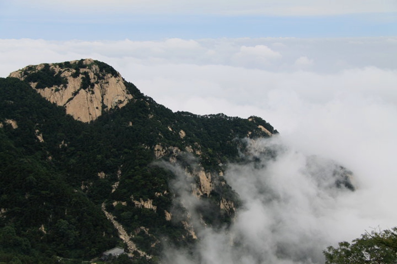 DSC_3144.jpg