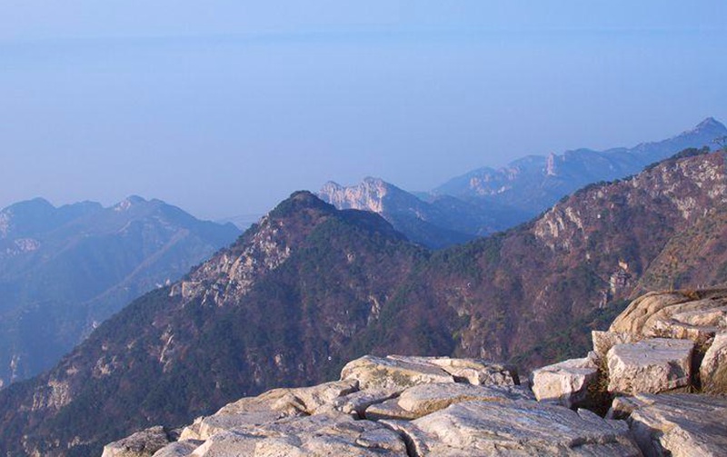 DSC_3084.jpg