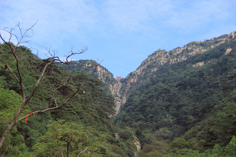 DSC_3098.jpg