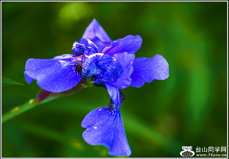 _DSC8004.jpg