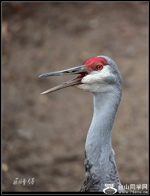 DSC_3076.jpg