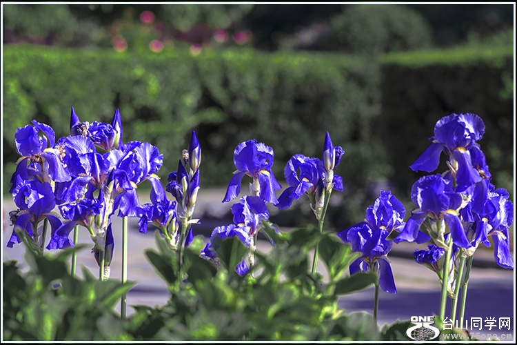 _DSC7904_meitu_1.jpg