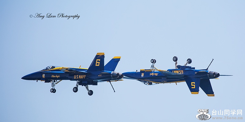 IMG_8031.jpg