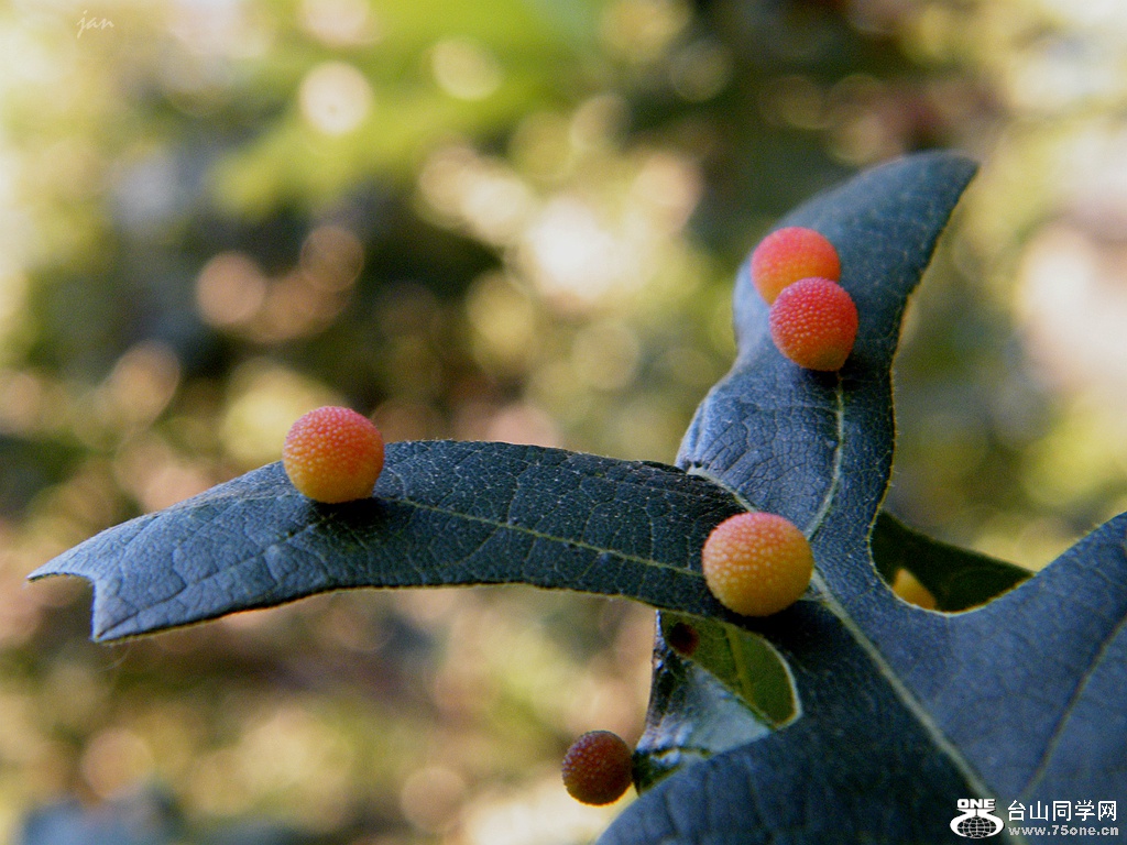 DSCF5339.JPG