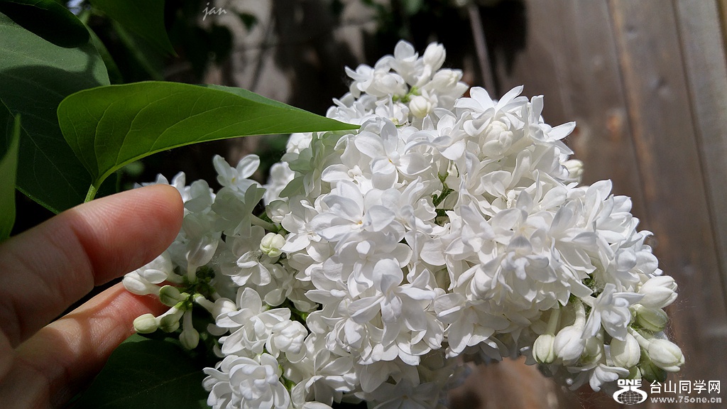 20160521_122718_HDR.jpg