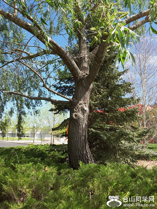20160522_114903_001.jpg