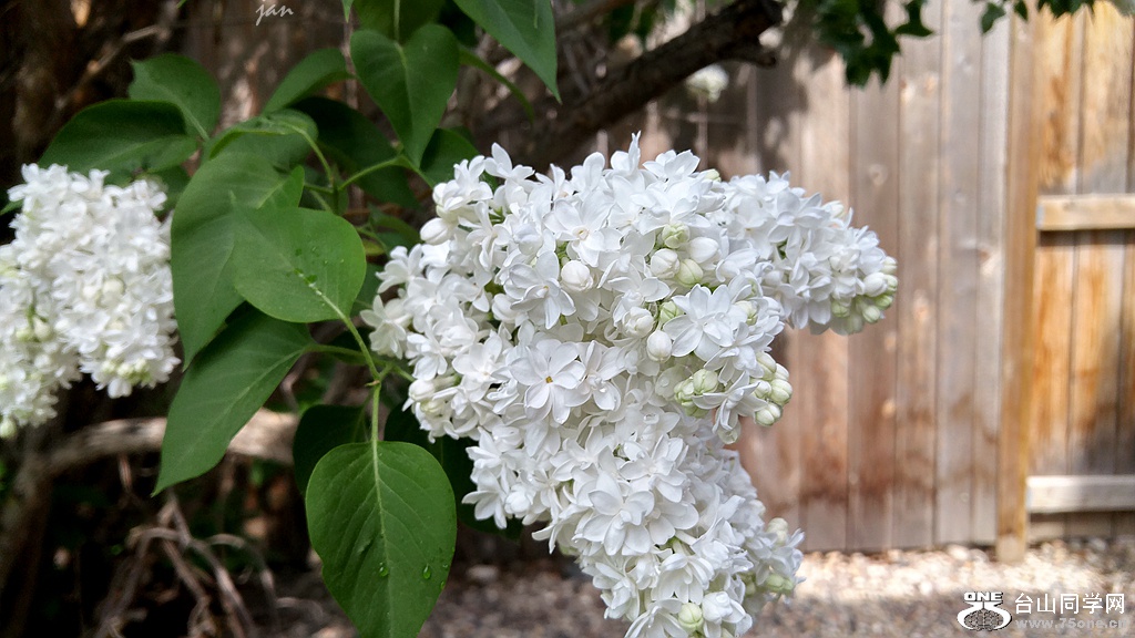 20160521_122648_HDR.jpg
