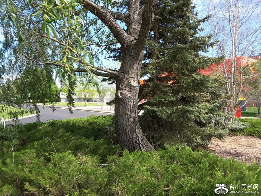 20160522_114836.jpg