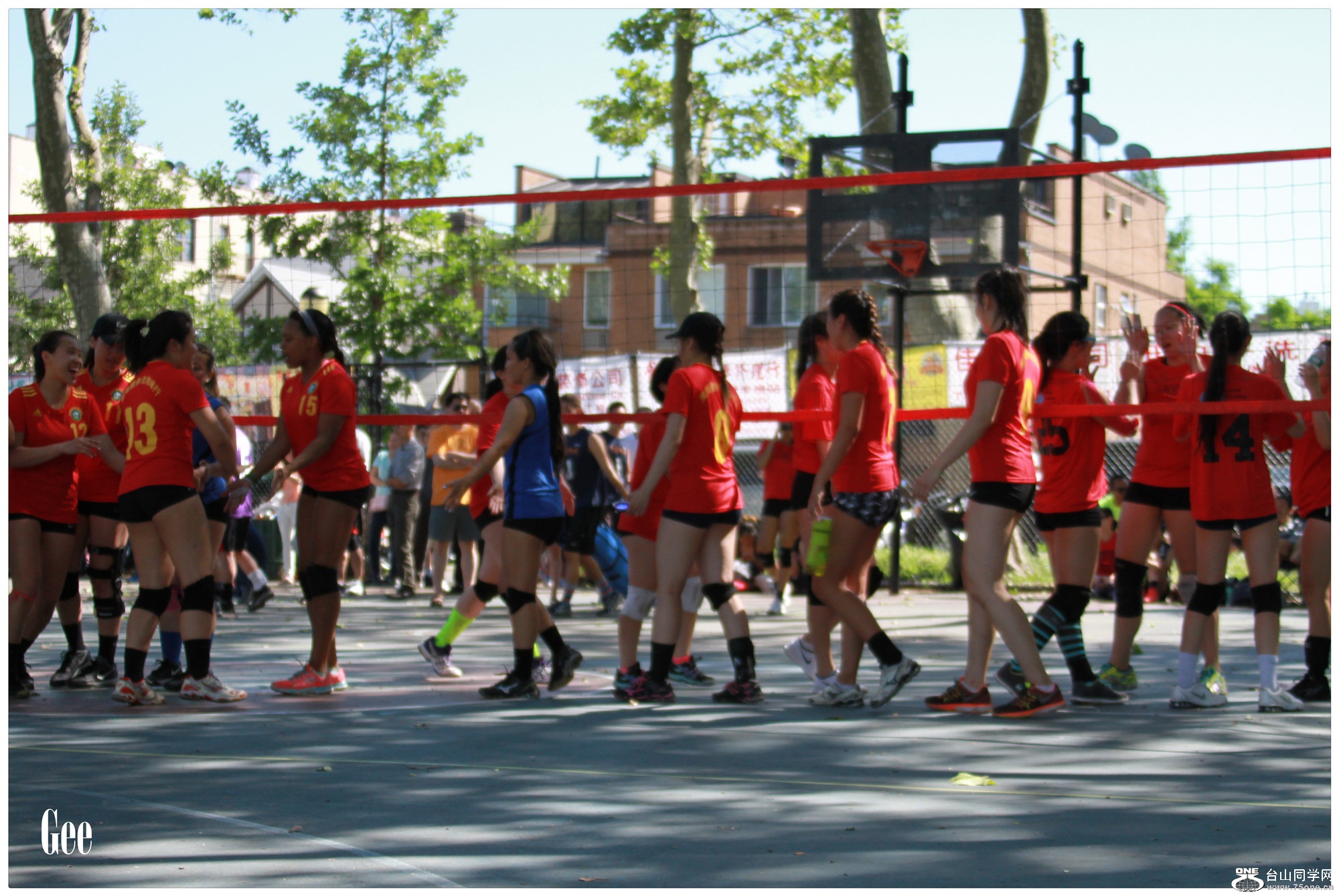 IMGL7722.jpg
