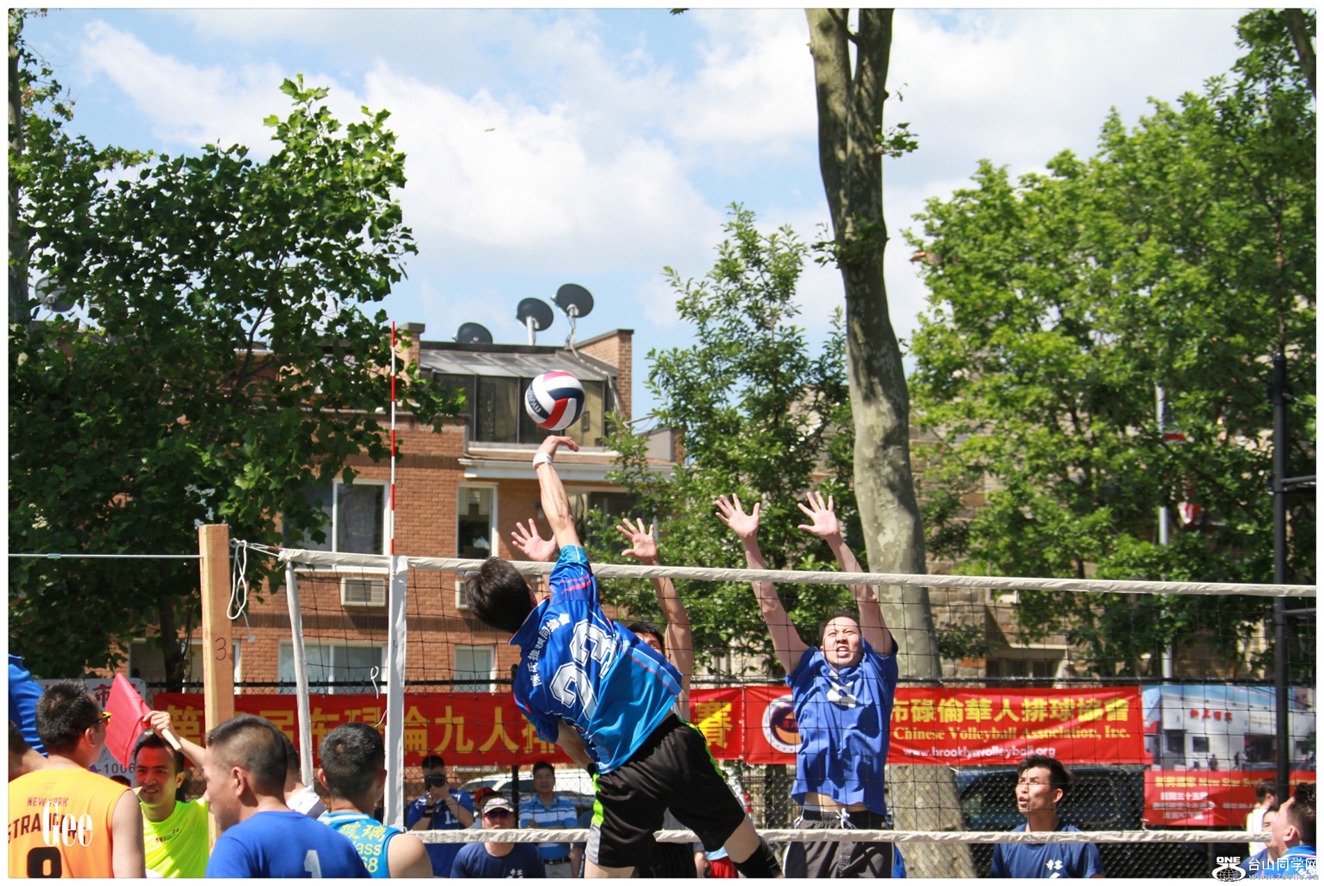 IMGL7105.jpg