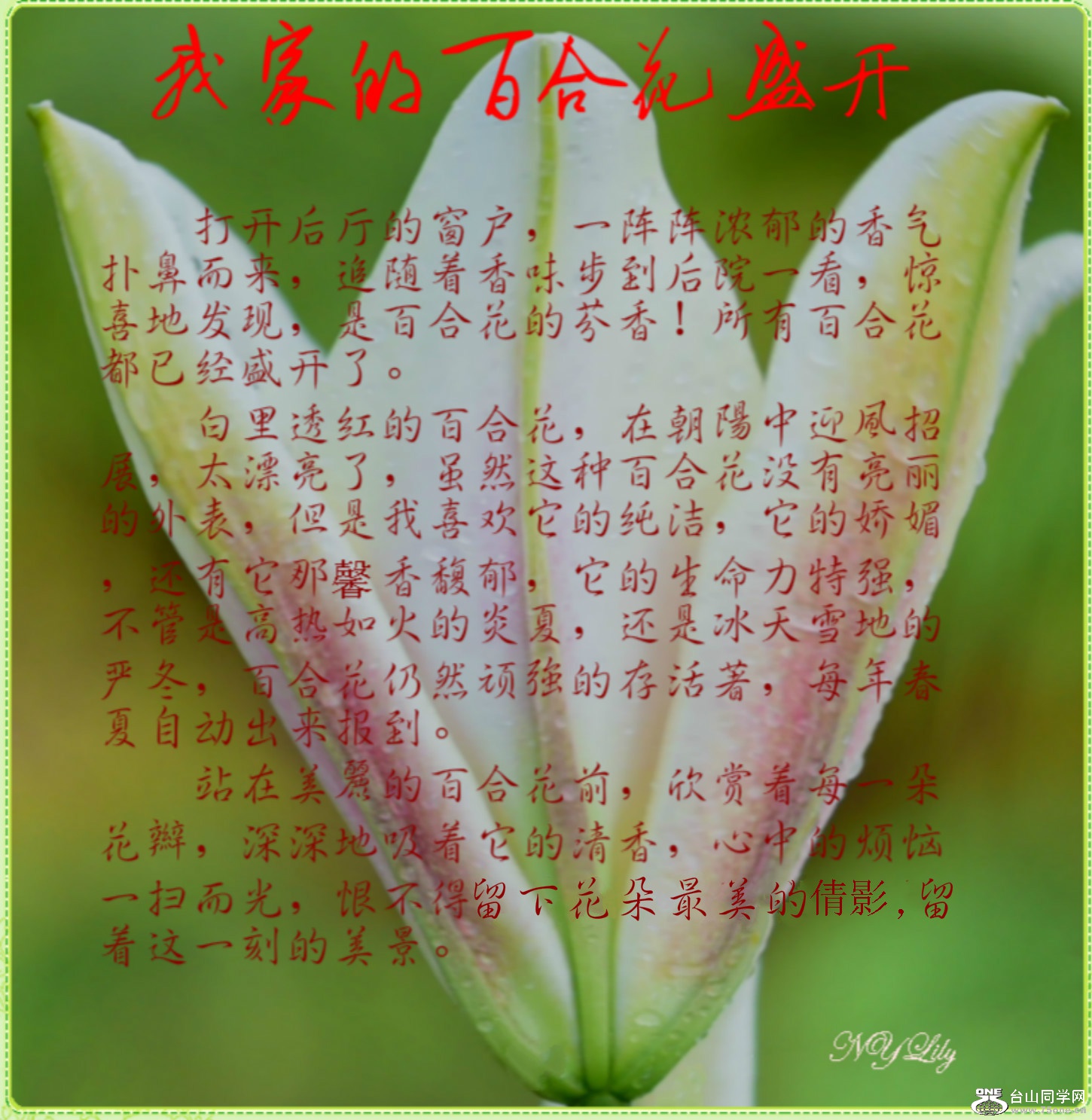 DSC_9438_meitu_3.jpg