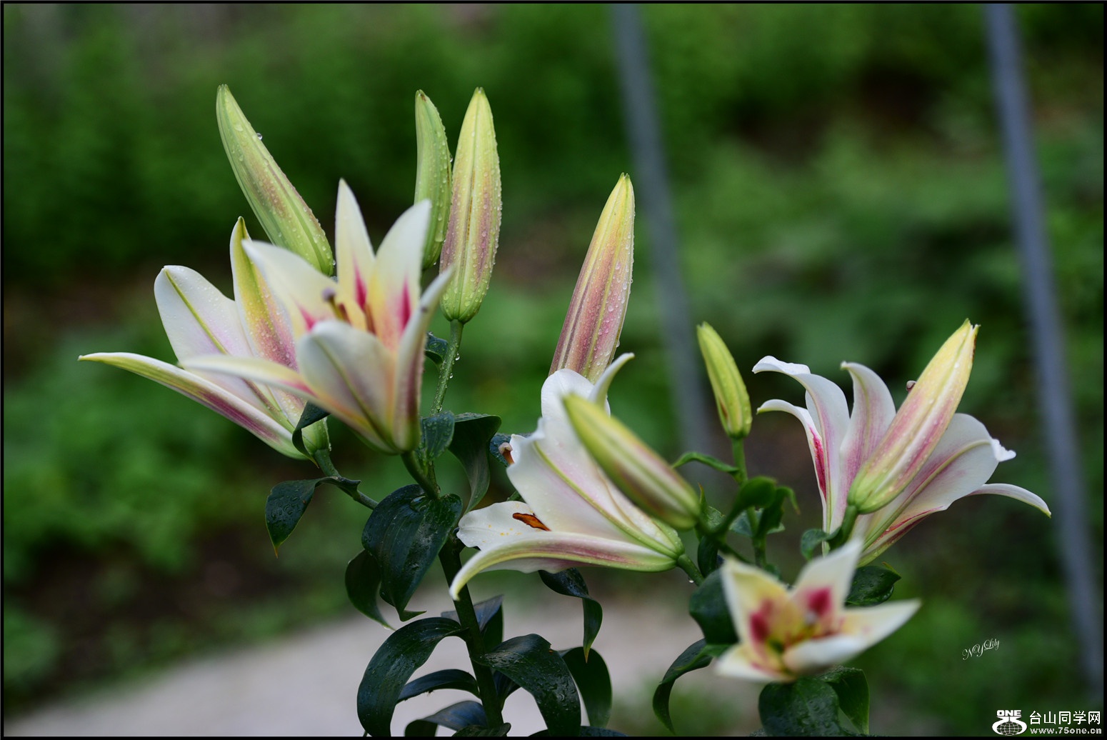 DSC_9429.jpg