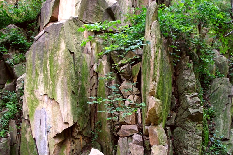 DSC_3219.jpg