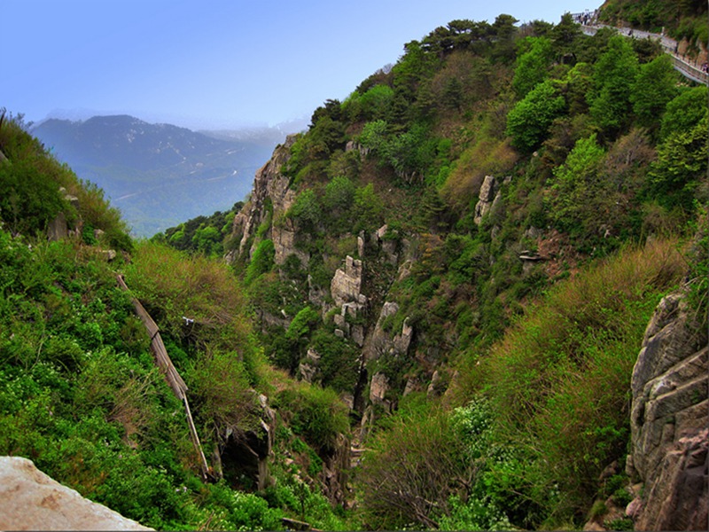 DSC_3305.jpg