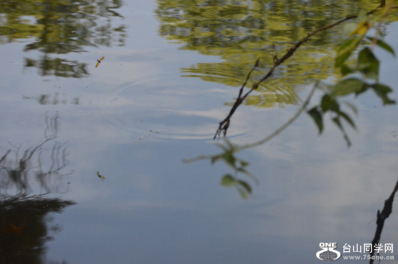 DSC_0072.jpg