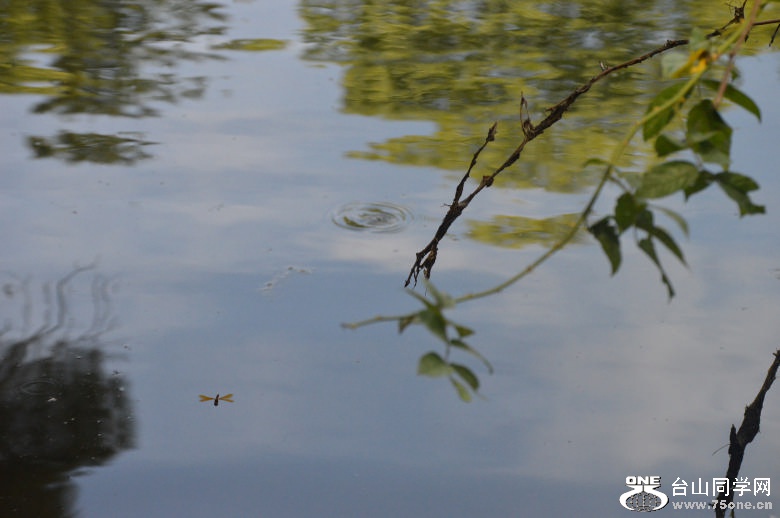 DSC_0070.jpg