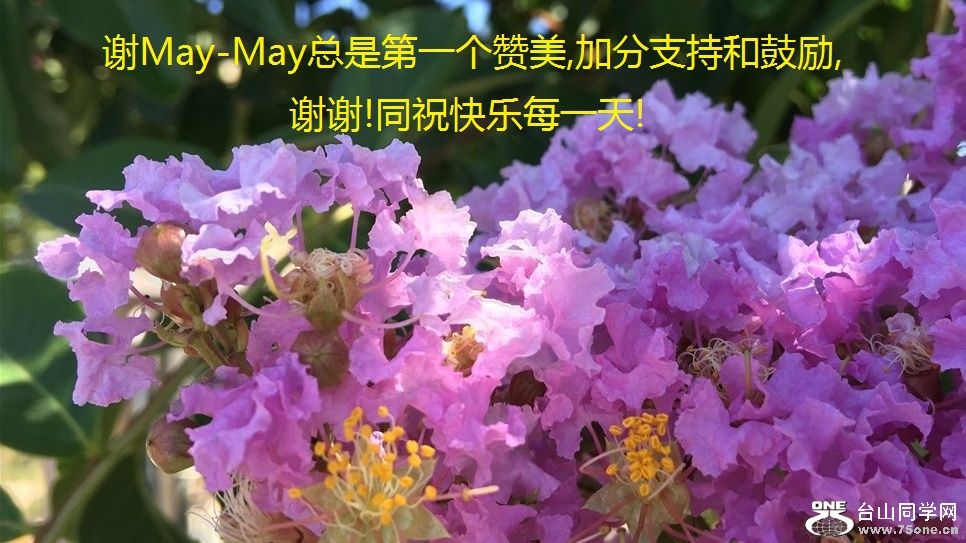 лMay-Mayǵһ,ӷֺ֧͹,лл!ͬףÿһ!.jpg