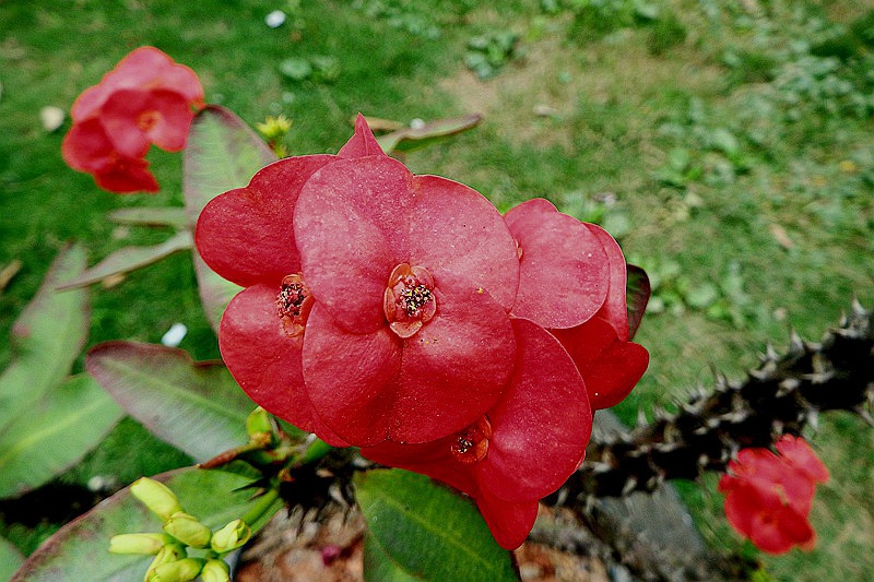 DSCF4029.JPG