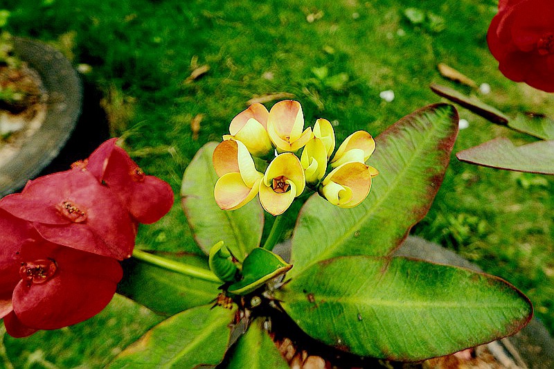 DSCF4031.JPG