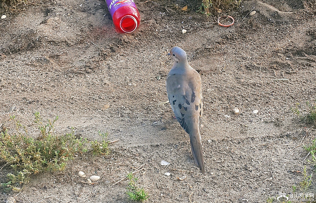 20160816_073139_.jpg