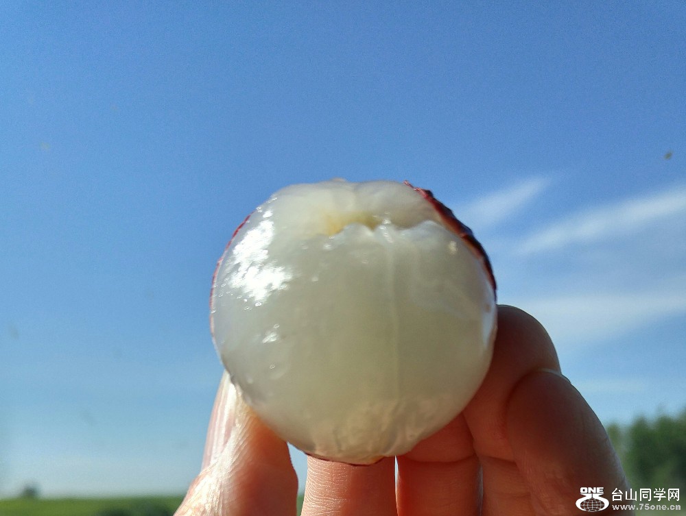 20160701_092354_HDR~2.jpg