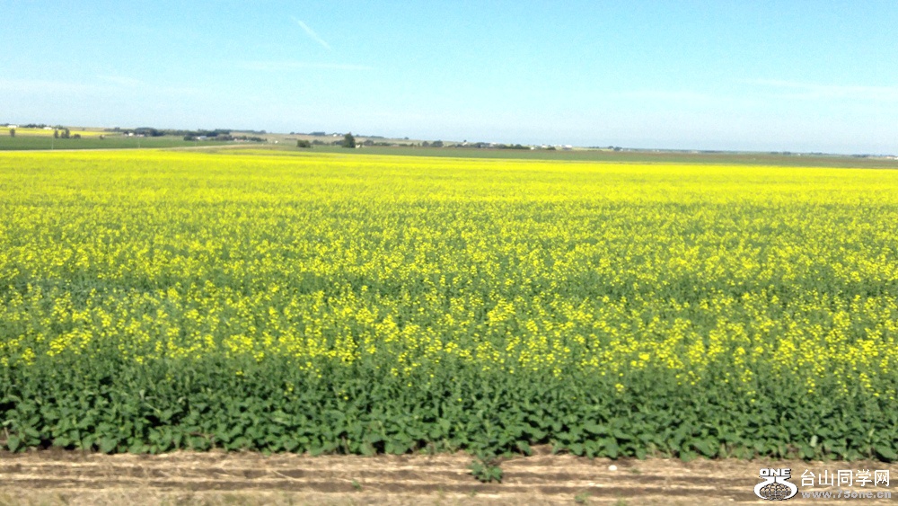 20160701_093159_HDR.jpg