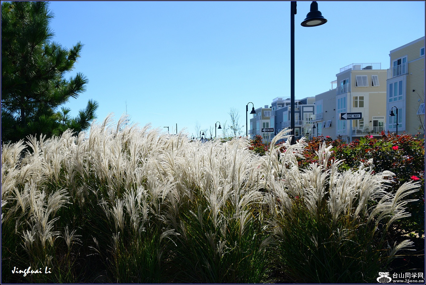 DSC_0670.jpg