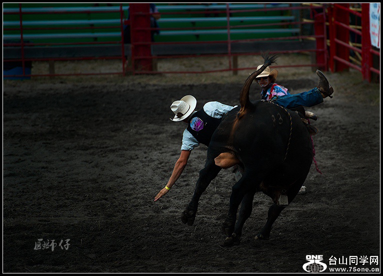 DSC_9984.jpg