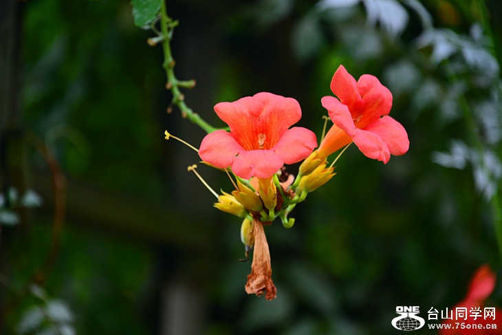 DSC_4400_.jpg