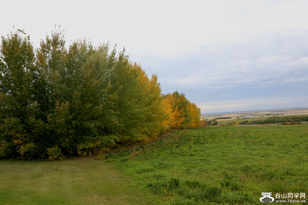 IMG_9675.JPG