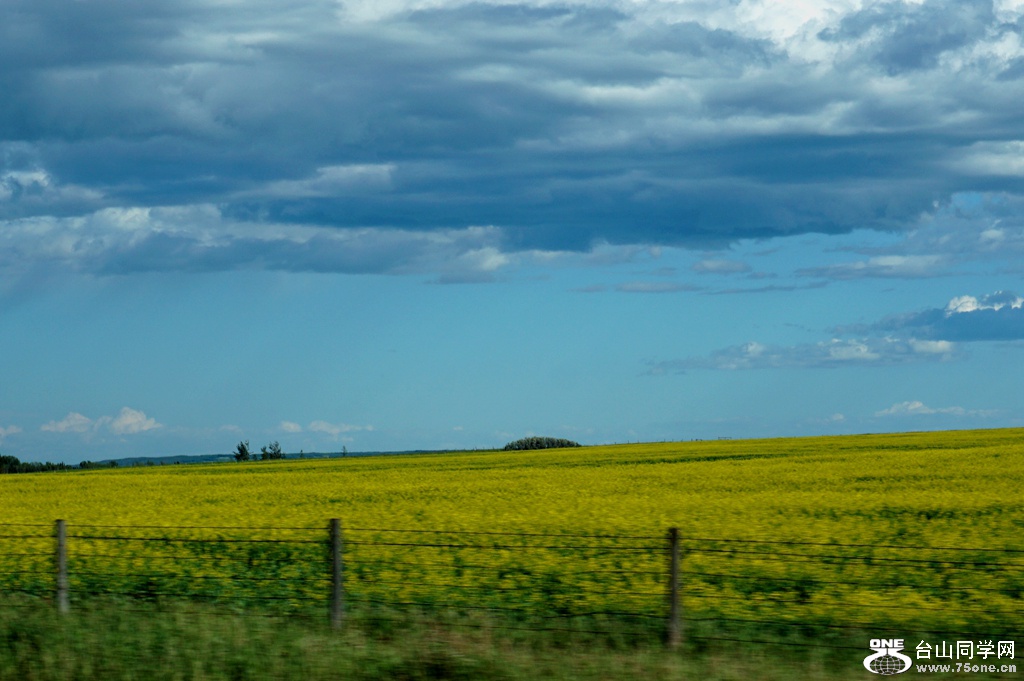 DSC02211.JPG
