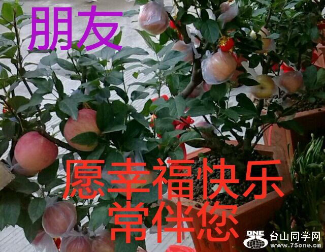 QQͼƬ20161009143449.jpg