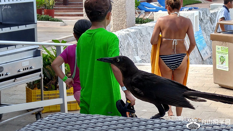 20160824_160619_HDR.jpg