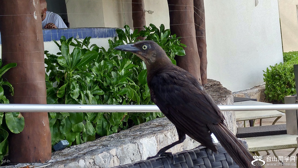 20160824_160624_HDR.jpg